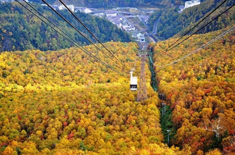 【日本 | 行程&體驗】【2024年紅葉季】日本|北海道賞紅葉|大雪山國家公園 黑岳・銀泉台賞楓一日遊|包含纜車體驗(札幌出發)