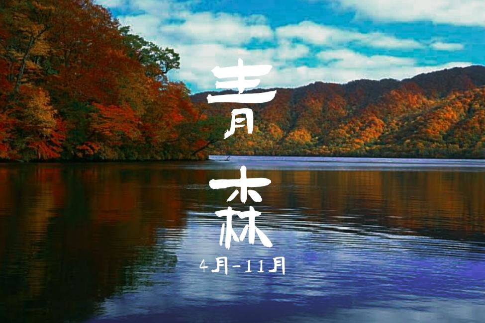 【日本 | 行程&體驗】包車一日遊】日本東北青森縣|4月-11月適用線路|青森市或新青森出發結束|行程自由搭配