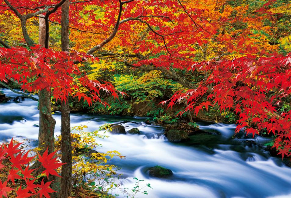 【日本 | 行程&體驗】【2024年紅葉季】日本|東北青森賞楓一日遊|奧入瀨、十和田湖、弘前公園