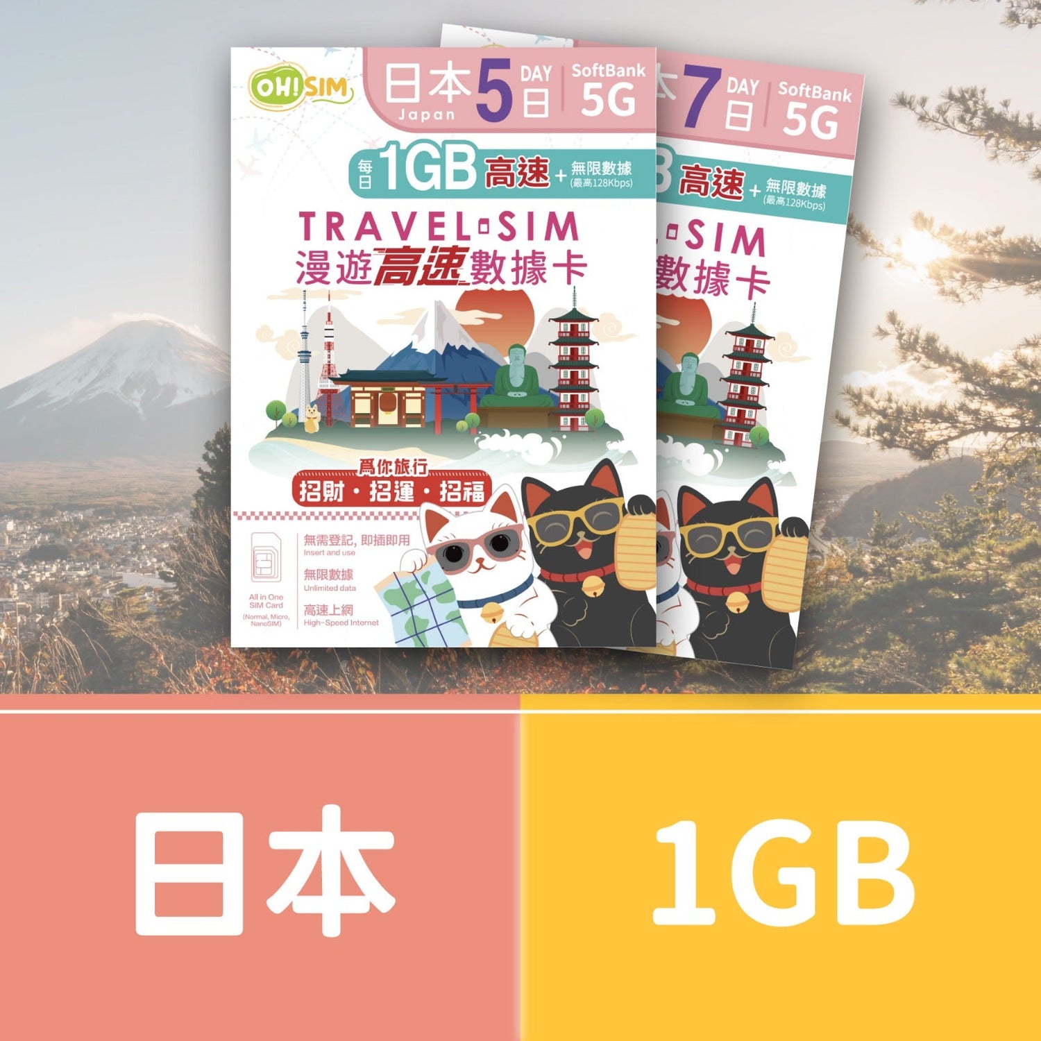 日本1GB數據卡